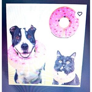 Inflatable Dog Donut Cone Collar NEW Alternative After Surgery Small